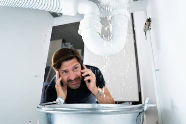 Best Same-Day Plumbing Service  in Elleale, ND