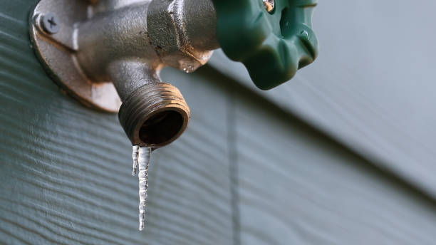 Best Sewer Line Repair  in Elleale, ND